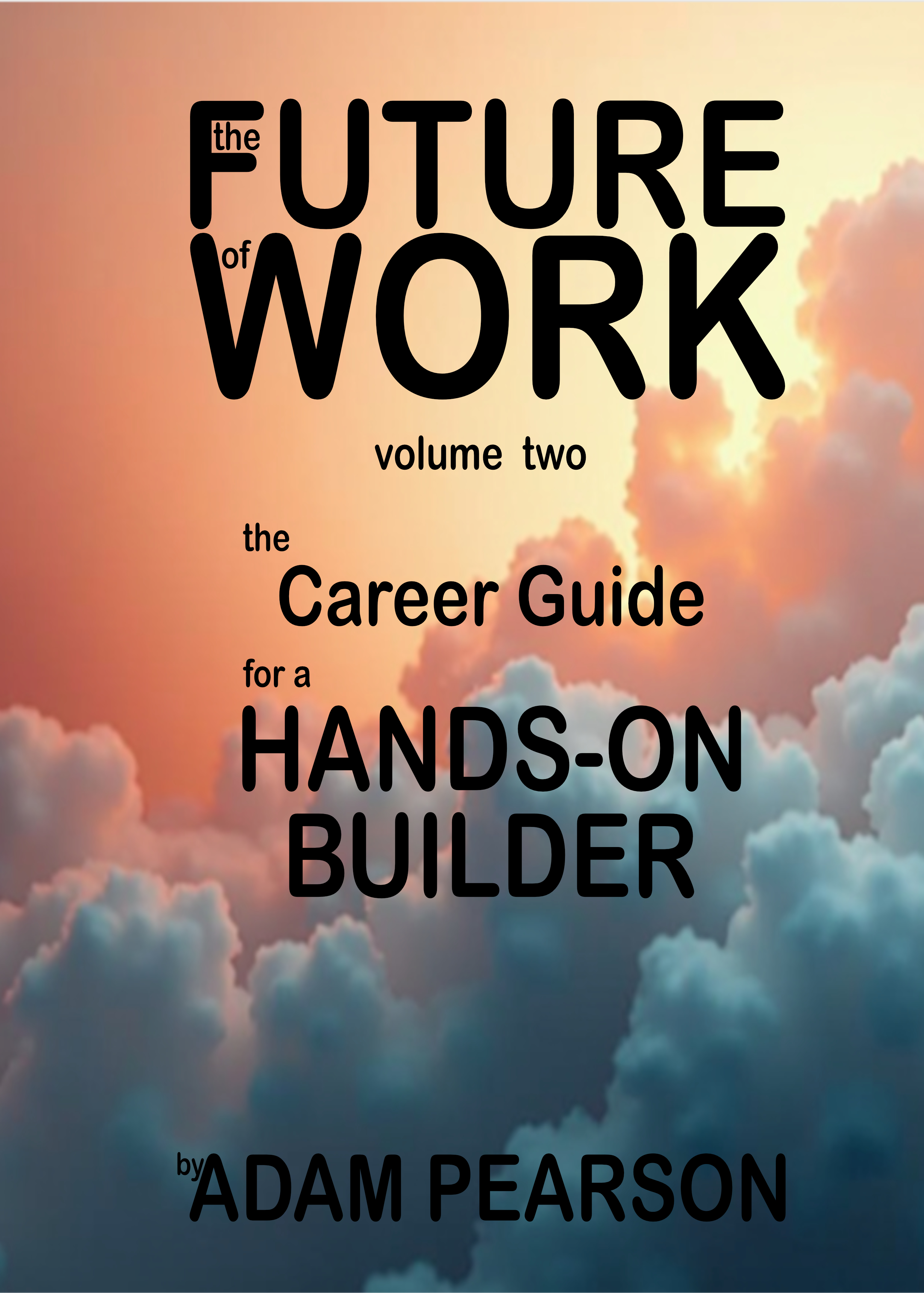 The Future of Work Volume 2 Cover